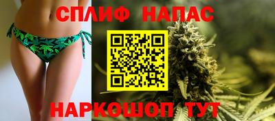 стафф Кандалакша