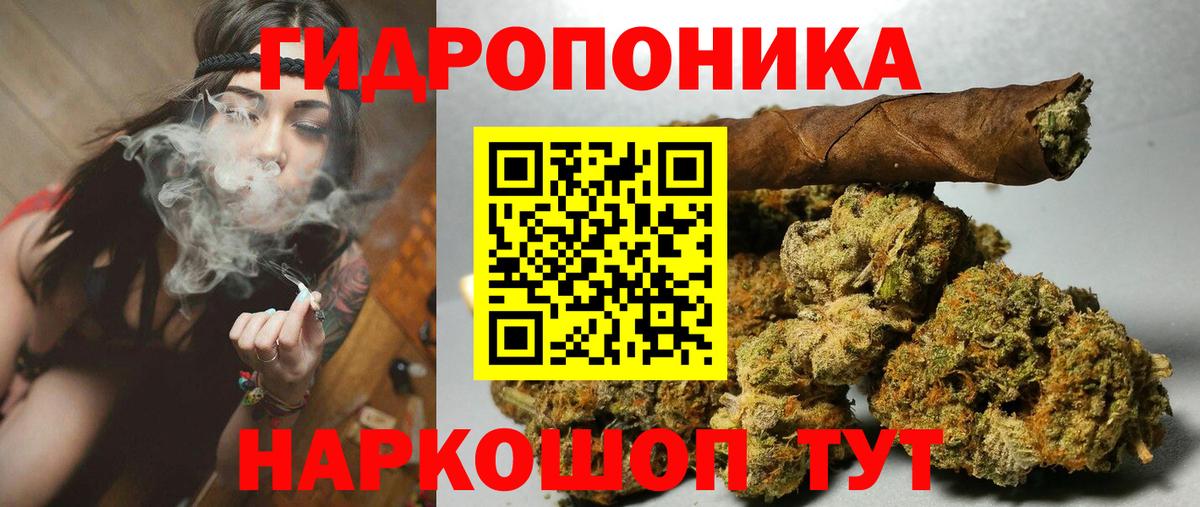 Кострома  Шишки марихуана конопля  Вход с VPN  Шишки марихуана ГИДРОПОН  Каннабис MAZAR  Марихуана OG Kush 